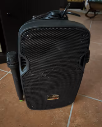 CASSA AMPLIFICATA AUDIODESIGN PAX 8 W/L