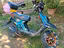 Immagine 1
