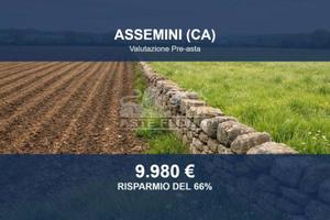 Immobile in asta di 15722 m² a Assemini