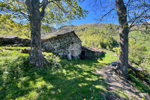 RUSTICO A LEMIE