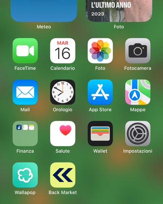IPhone X  pro max