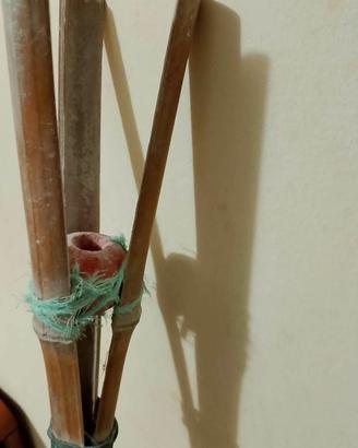 colpo di bamboo 