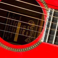 Martin lx red
