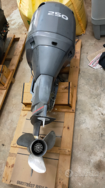 Fuoribordo Yamaha 250