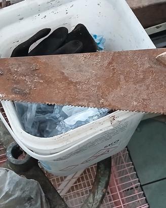 Antica sega a mano con manico in legno.