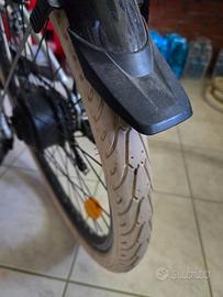 Bicicletta a pedalata assististita