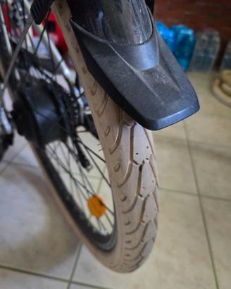 Bicicletta a pedalata assististita
