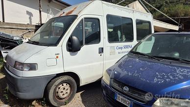 Fiat ducato trasporto disabili