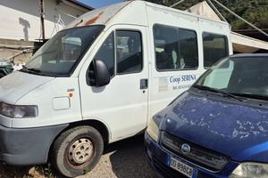 Fiat ducato trasporto disabili