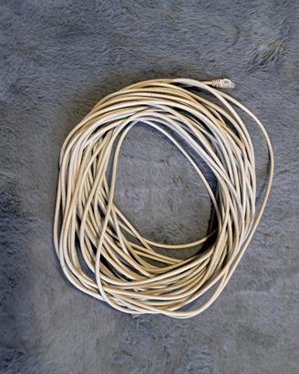 Cavo di Rete Ethernet LAN RJ45 Cat5e Prolunga High