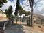 Immagine 29