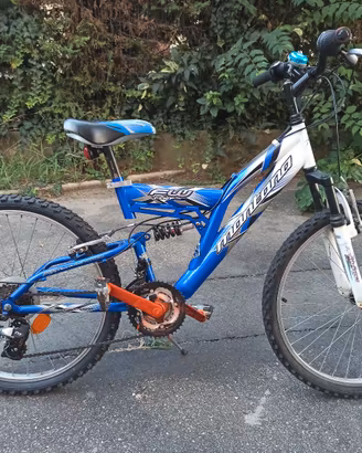 Bicicletta bimbo