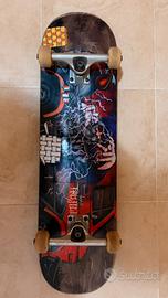 skateboard professionale