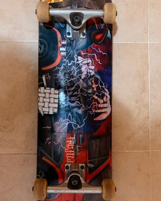skateboard professionale