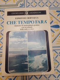 Libro Che Tempo farà 