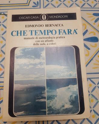 Libro Che Tempo farà 