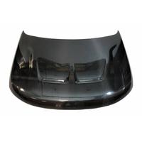 Range Rover Sport L494 2014>22 Cofano in carbonio