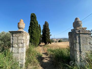 Terreno edificabile in Serra di Lazzaro