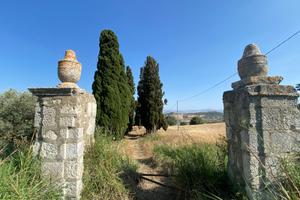 Terreno edificabile in Serra di Lazzaro