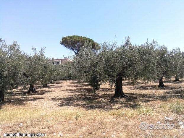 Castelvetrano Terreno Edificabile Via G. Gentile