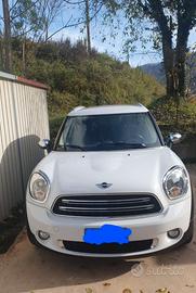 mini countryman one d