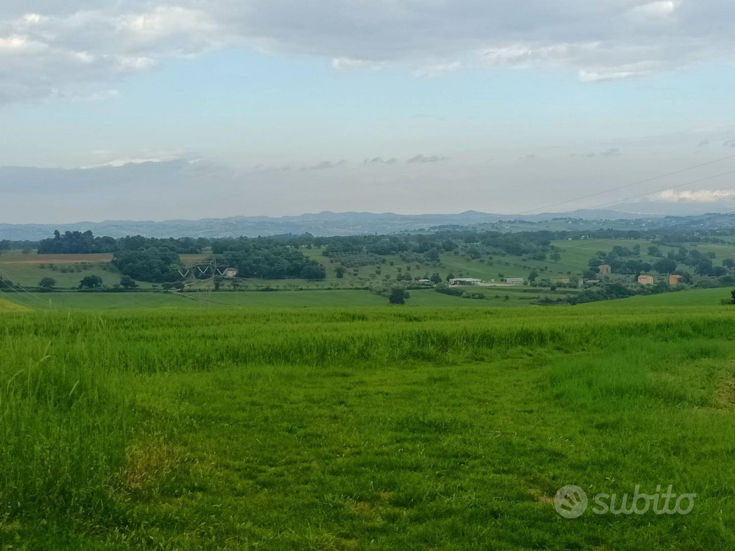 Terreno Agricolo a Treia - Vista 5