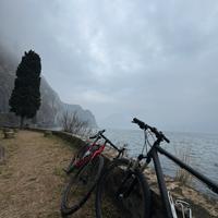 Mountain Bike Ridley - Ruote 26