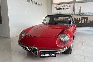 Alfa Romeo Spider duetto osso di seppia