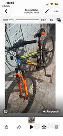 Bici normale