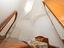 Immagine 19