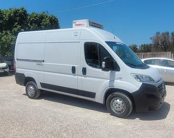 Fiat ducato frigo ATP rinnovata PREZZO FINITO