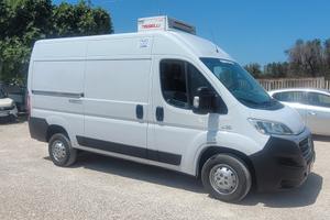 Fiat ducato frigo ATP rinnovata PREZZO FINITO