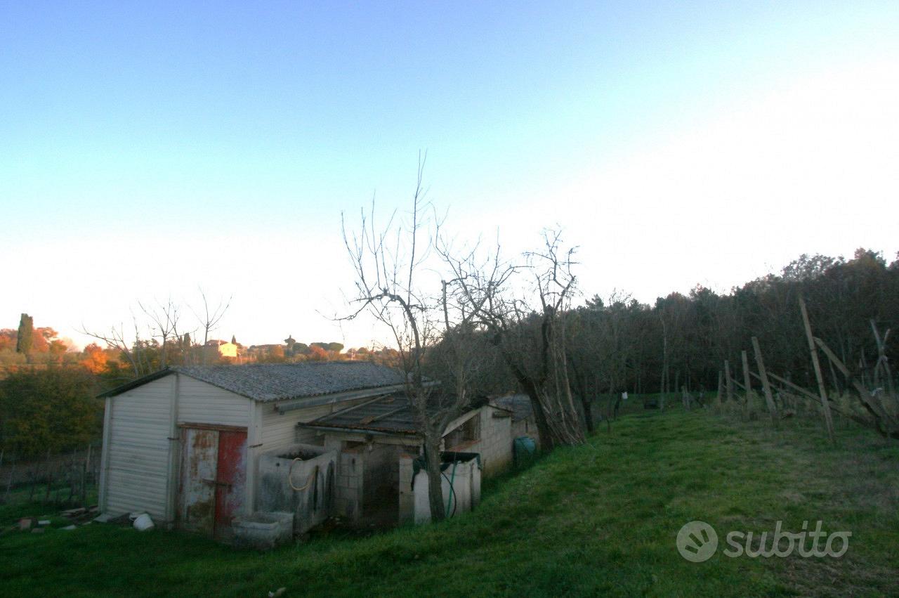 CA41 - Sinalunga capanno agricolo di mq 65 - Vista 3