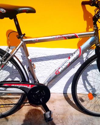bicecletta uomo taglia L 18 velocita