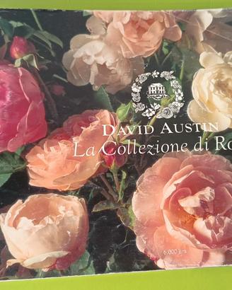 RIVISTA LA COLLEZIONE DI ROSE DAVID AUSTIN