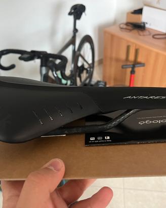Fizik antares r1