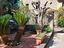 Immagine 26