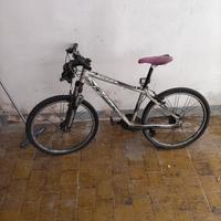 bicicletta Nuzzi nsr