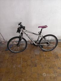 bicicletta Nuzzi nsr