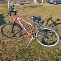 Mountain bike 