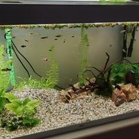 Acquario Ciano Emotion Nature Pro