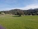terreno-agricolo-rif-56-24