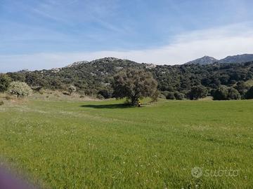 Terreno agricolo rif.56/24