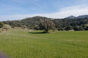 Terreno agricolo rif.56/24