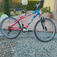 bicicletta