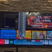 Smart tv LG NanoCell 65” - schermo danneggiato
