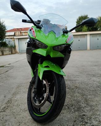 Kawasaki Ninja 500 SE KRT 2024