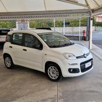 Fiat Panda 1.3 Mjt 80cv Autocarro 4 Posti N1