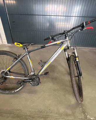 Mountain-Bike
