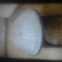 Tavolo da giardino ovale